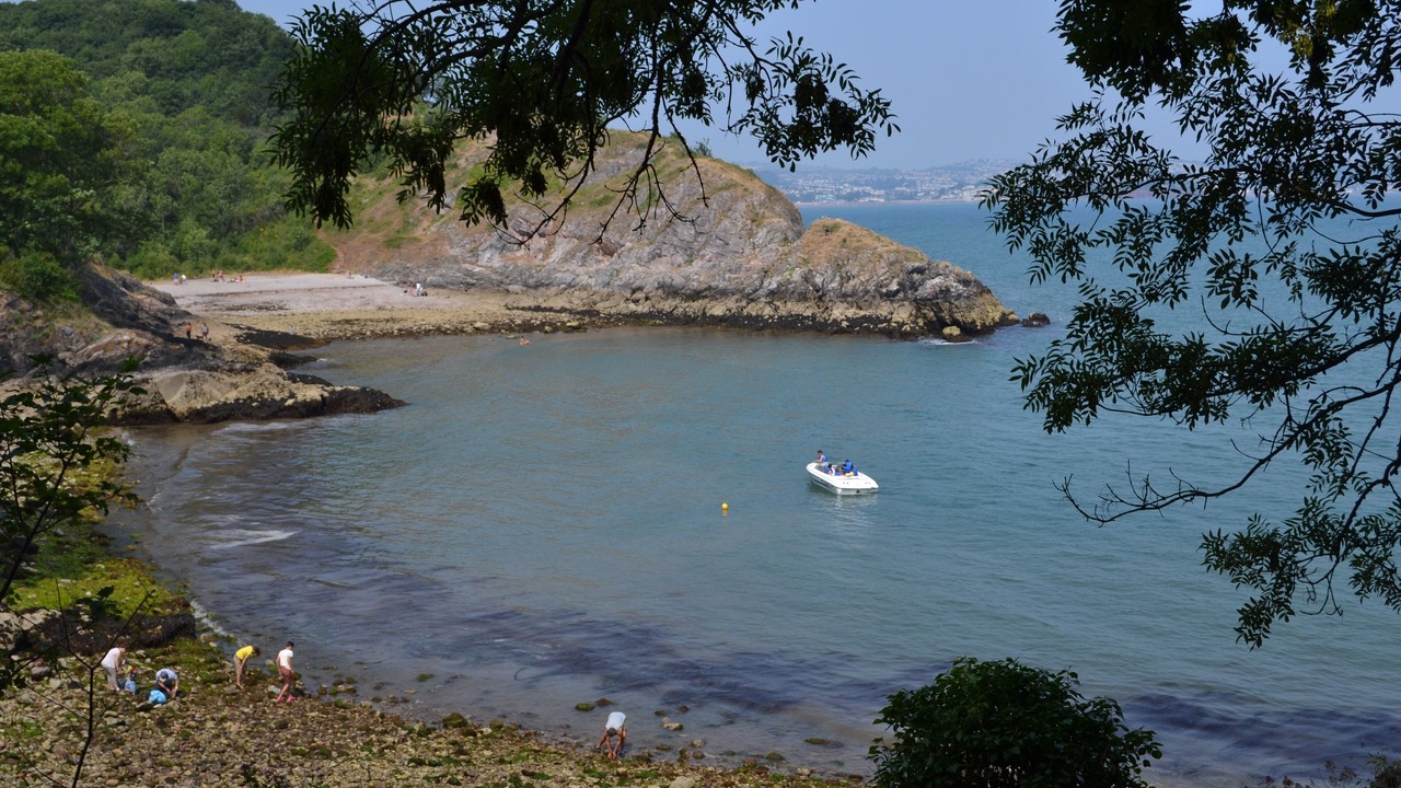 Photo of Others in Brixham