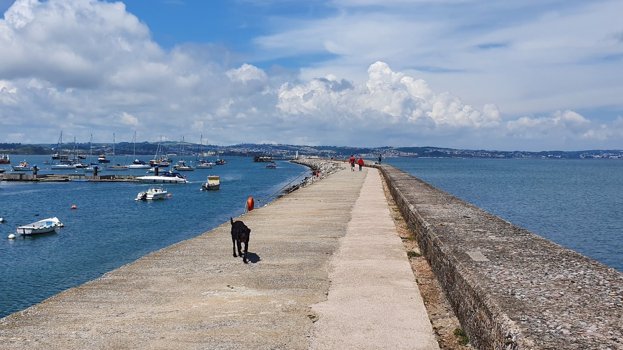 Photo of Others in Brixham
