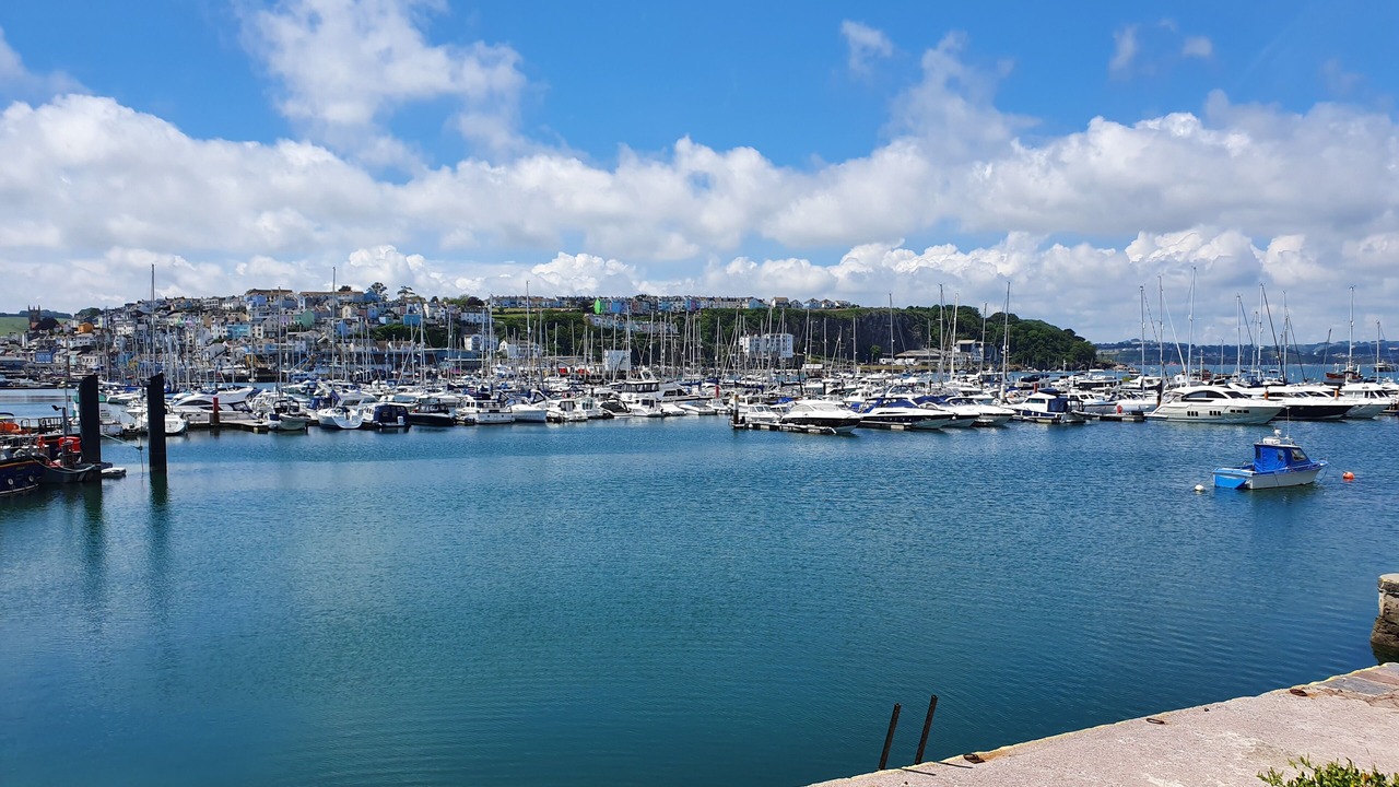 Photo of Others in Brixham