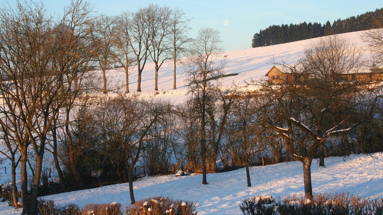 Photo of Others in Stavelot