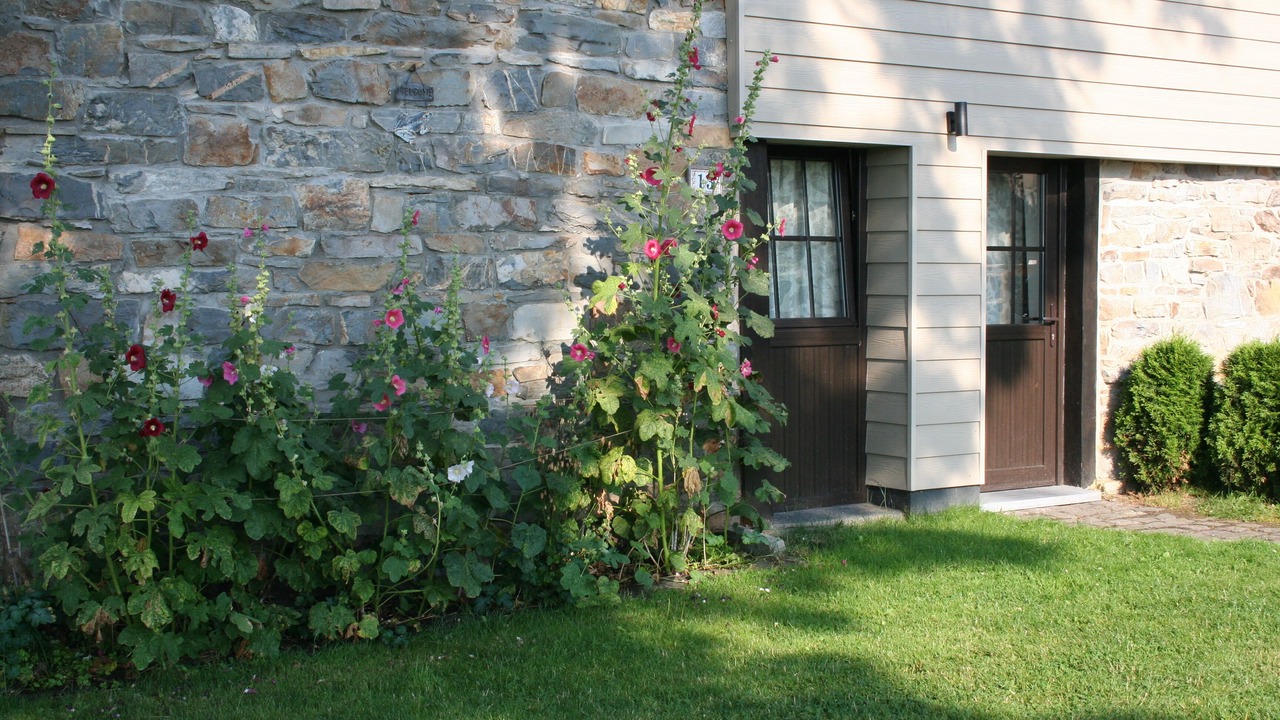 Photo of Outdoor in Stavelot
