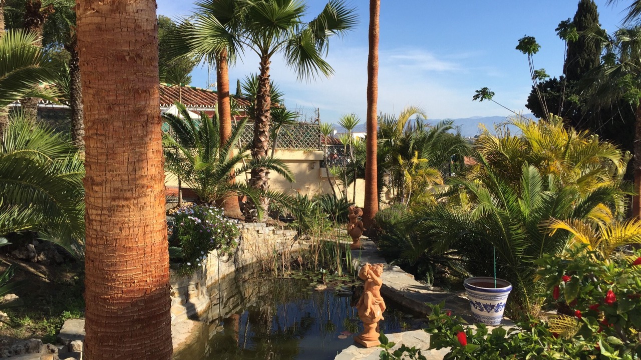 Photo of Outdoor in Torremolinos