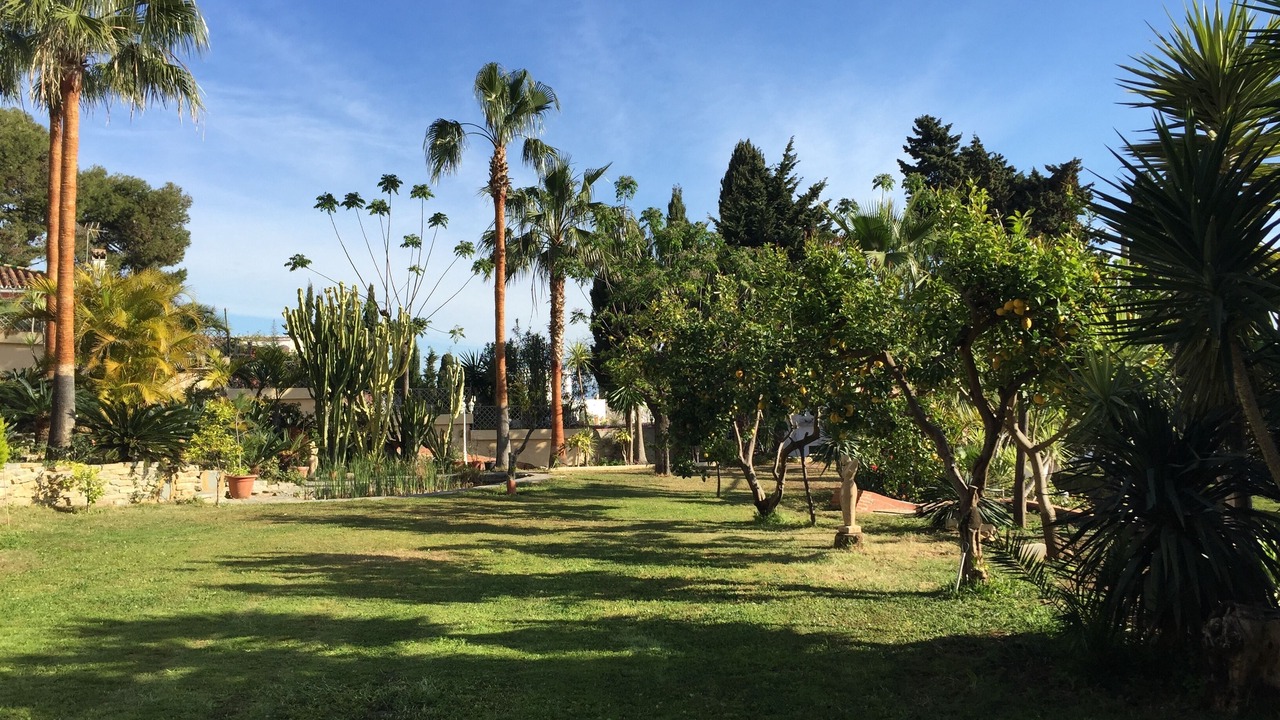 Photo of Outdoor in Torremolinos