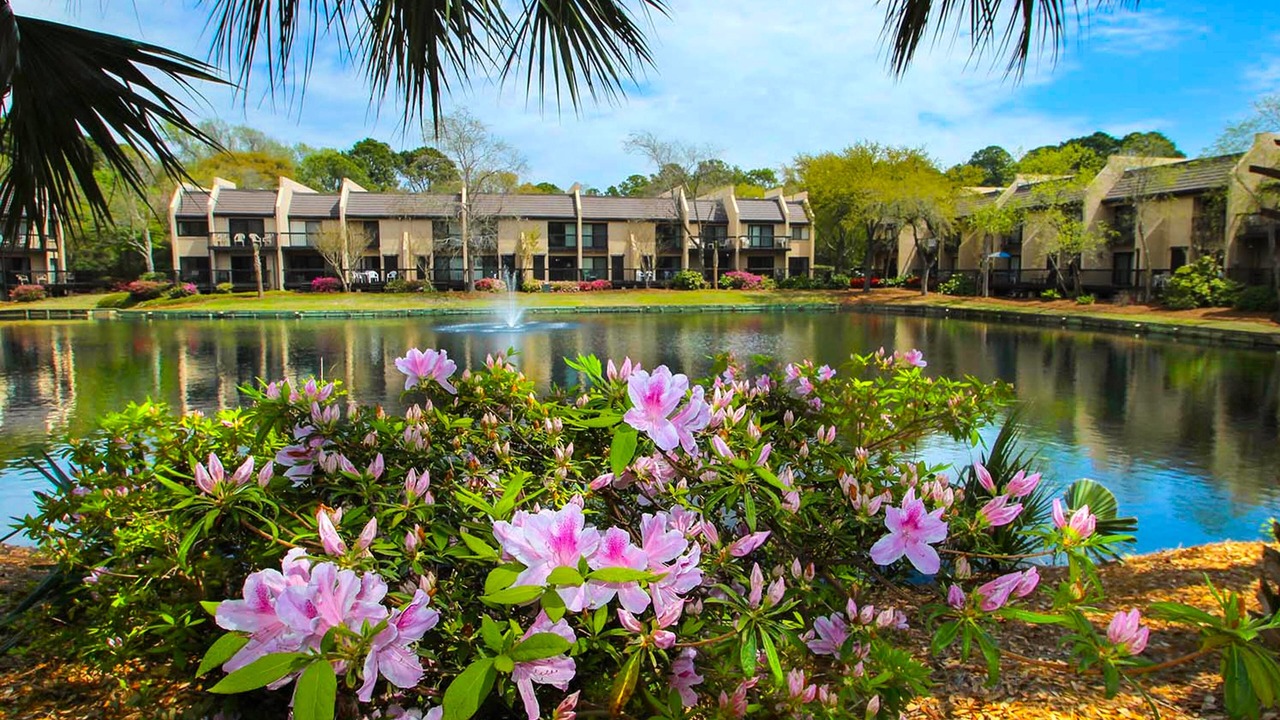 Photo of Outdoor in Folly Field