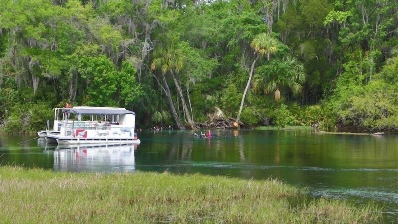 Photo of Others in Dunnellon