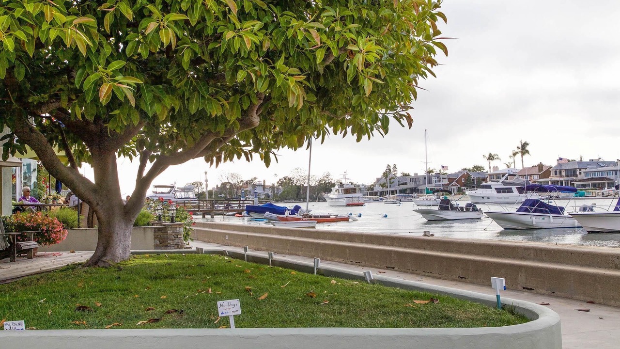 Photo of Others in Balboa Island