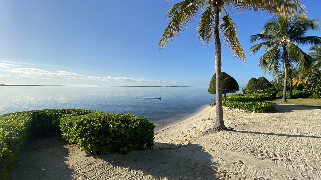 Photo of Others in Rum Point
