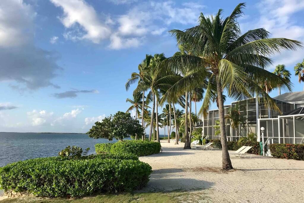 Photo of Others in Rum Point
