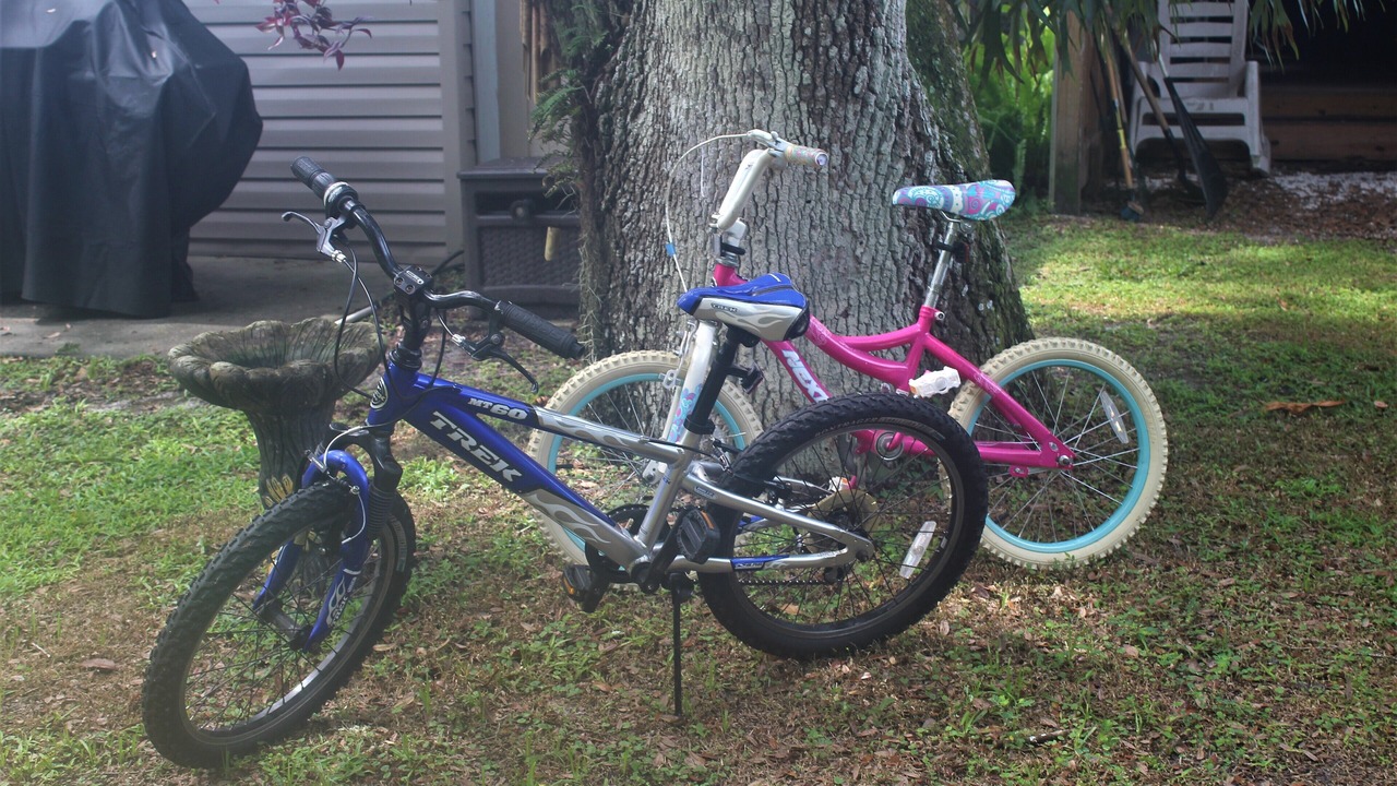 Photo of Outdoor in Dunnellon