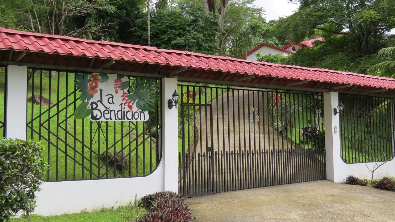 Photo of Others in Ballena