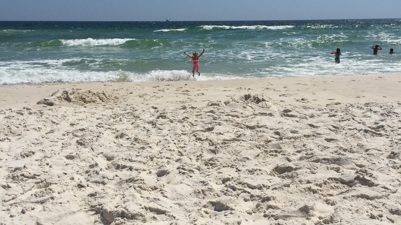 Photo of Others in Orange Beach East