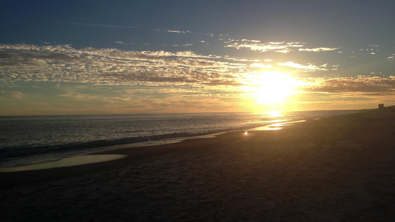 Photo of Others in Orange Beach East