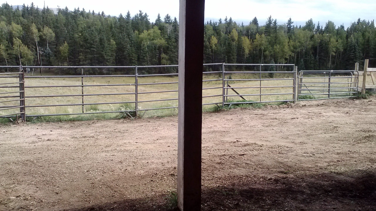 Photo of Outdoor in Divide