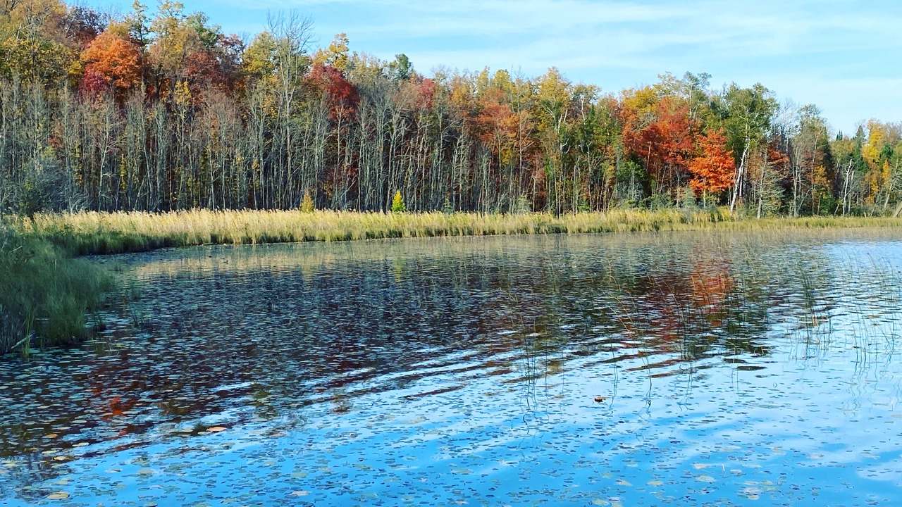 Photo of Outdoor in Marcell