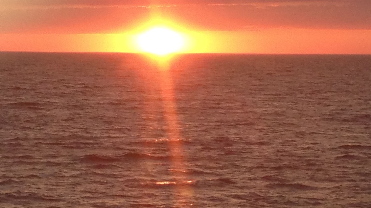 Photo of Others in Malignant Cove