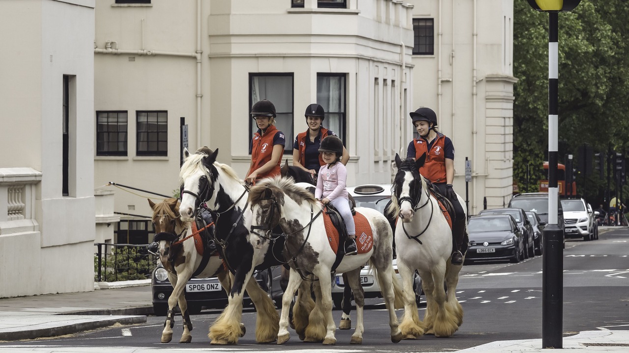 Photo of Outdoor in Bayswater