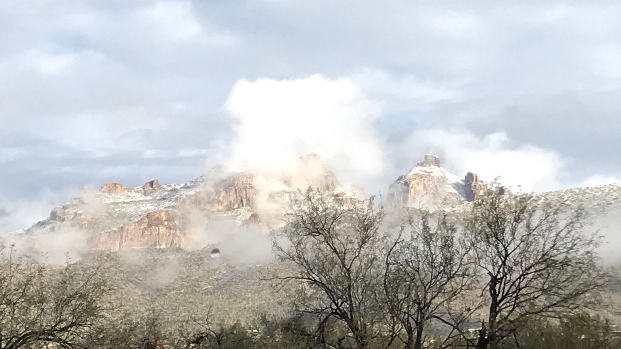 Photo of Others in Tanque Verde