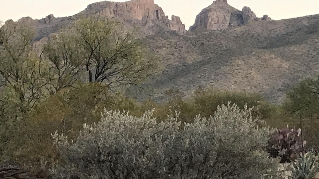 Photo of Outdoor in Tanque Verde