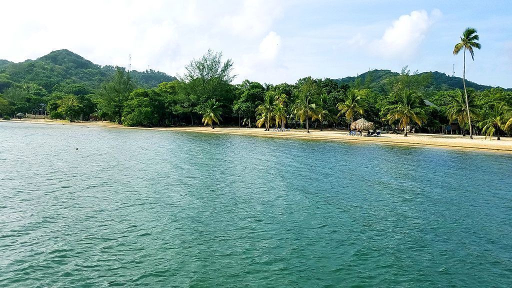 Photo of Outdoor in Palmetto Bay