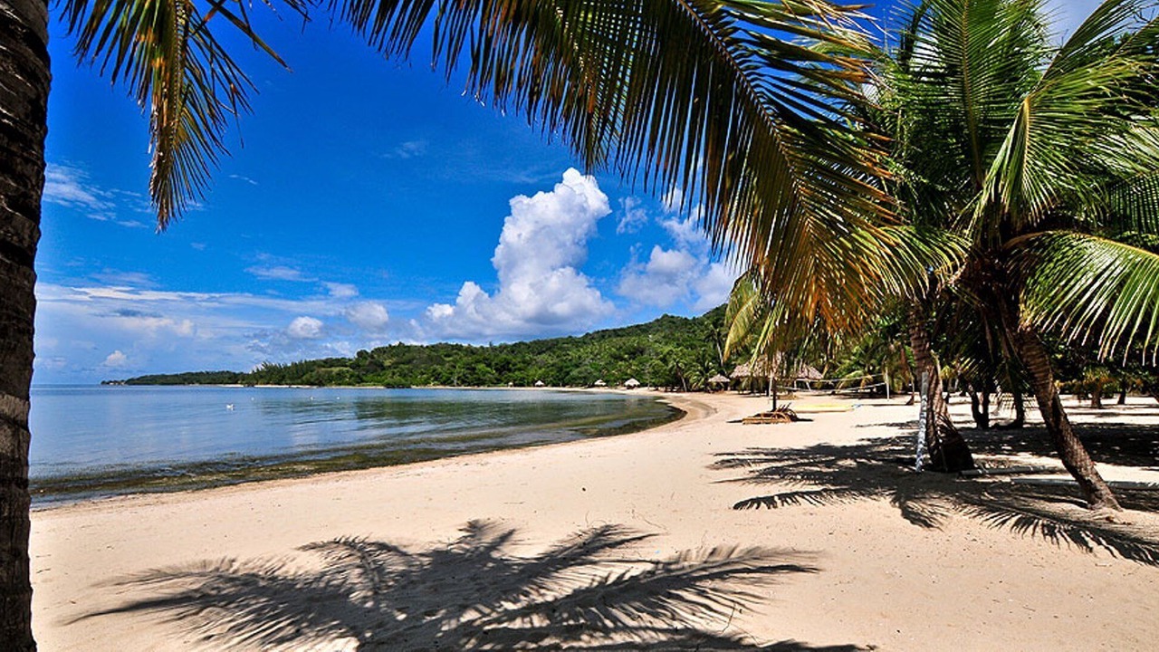 Photo of Others in Palmetto Bay