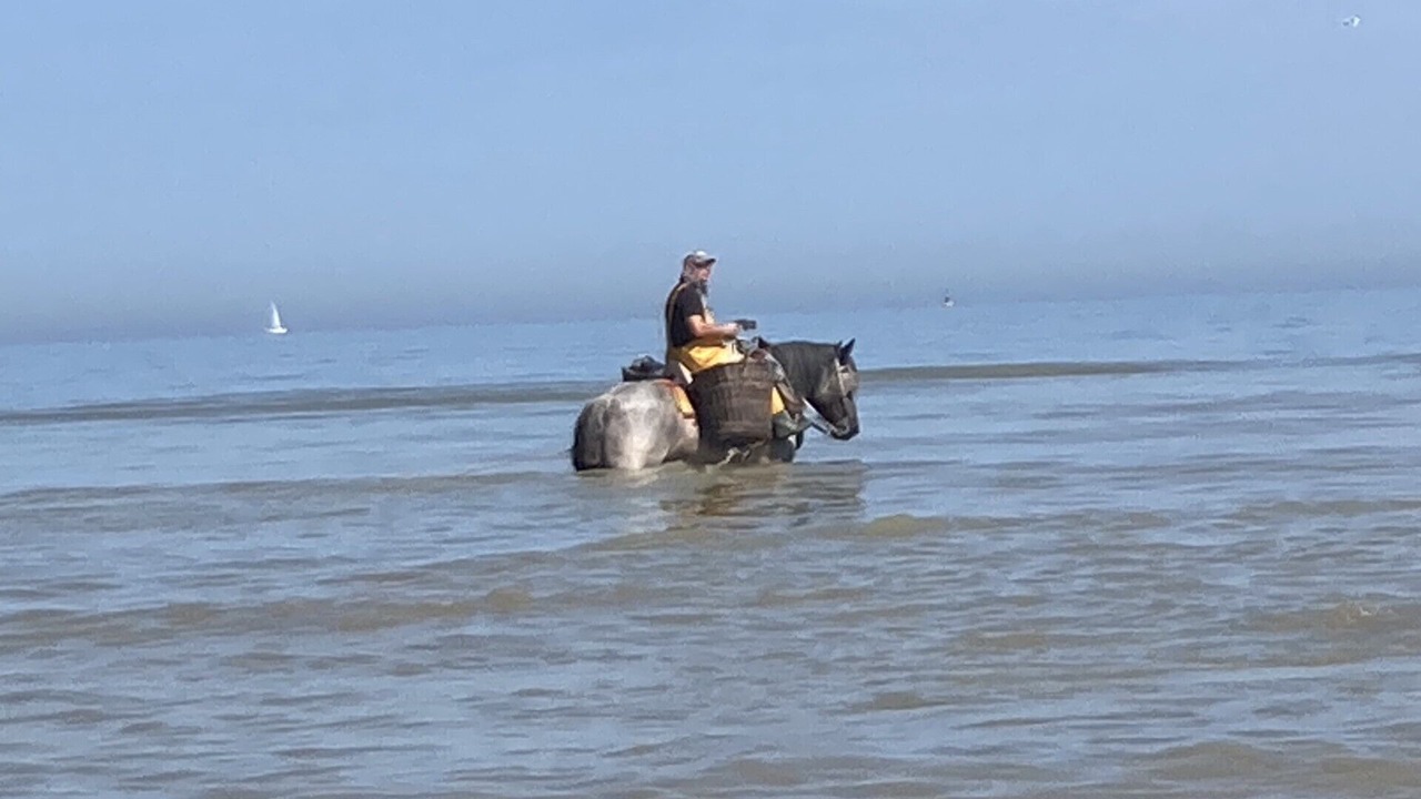 Photo of Others in Oostduinkerke-Bad