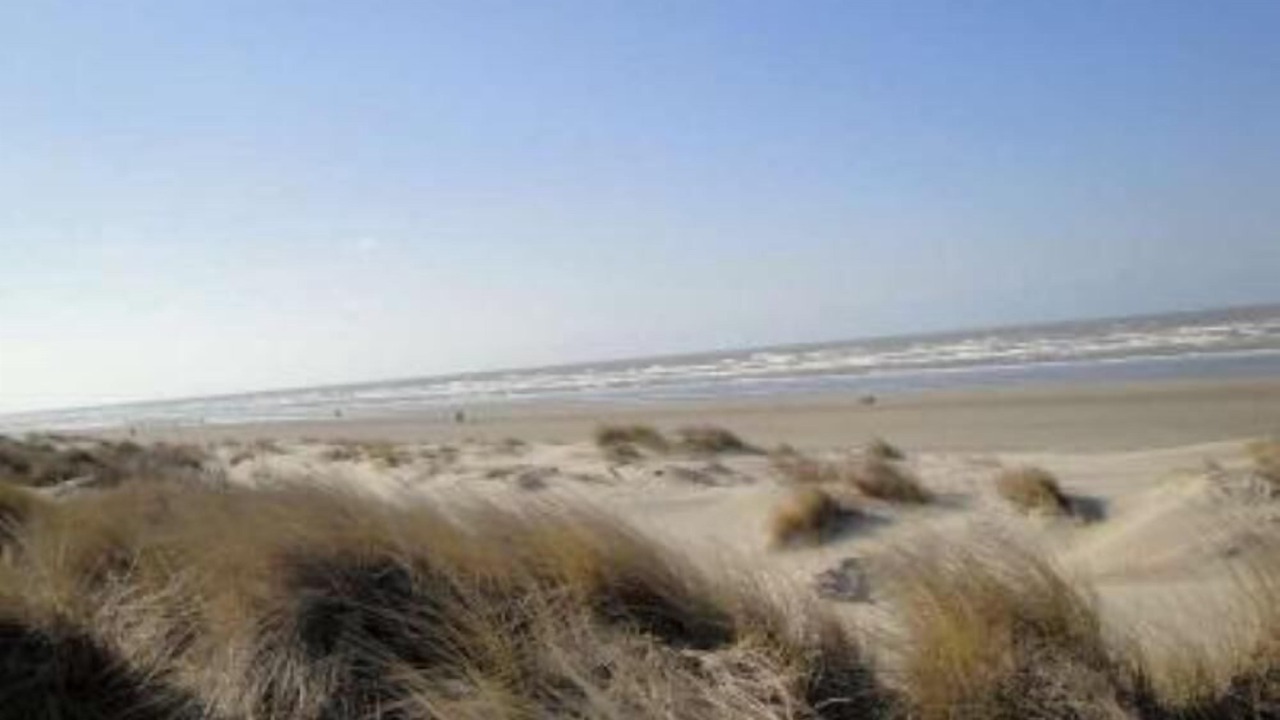 Photo of Others in Oostduinkerke-Bad