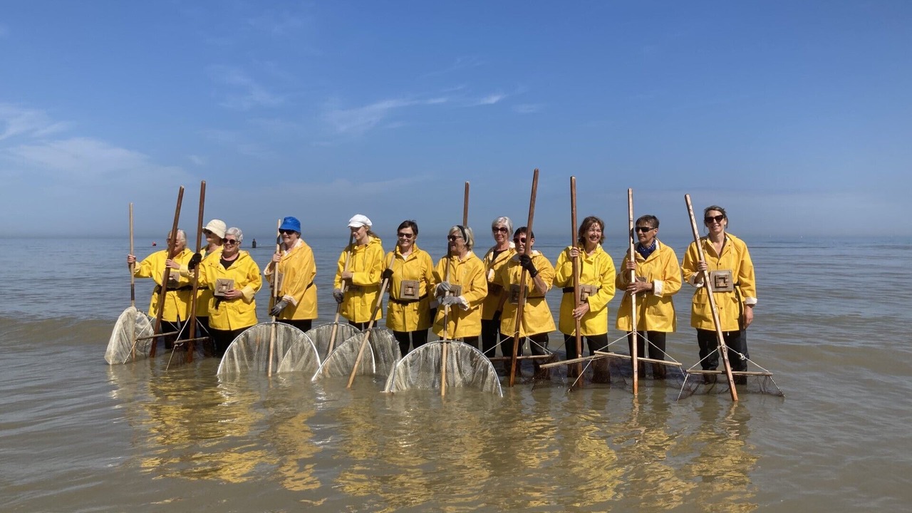 Photo of Others in Oostduinkerke-Bad