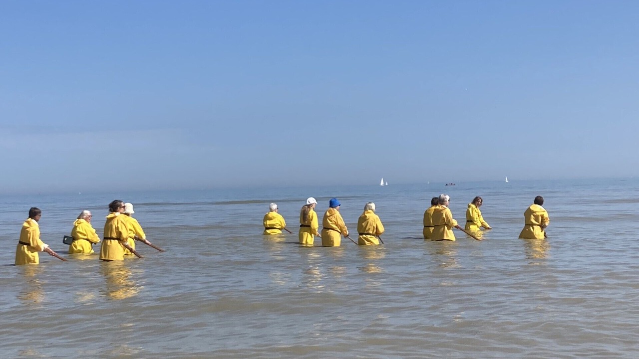 Photo of Others in Oostduinkerke-Bad