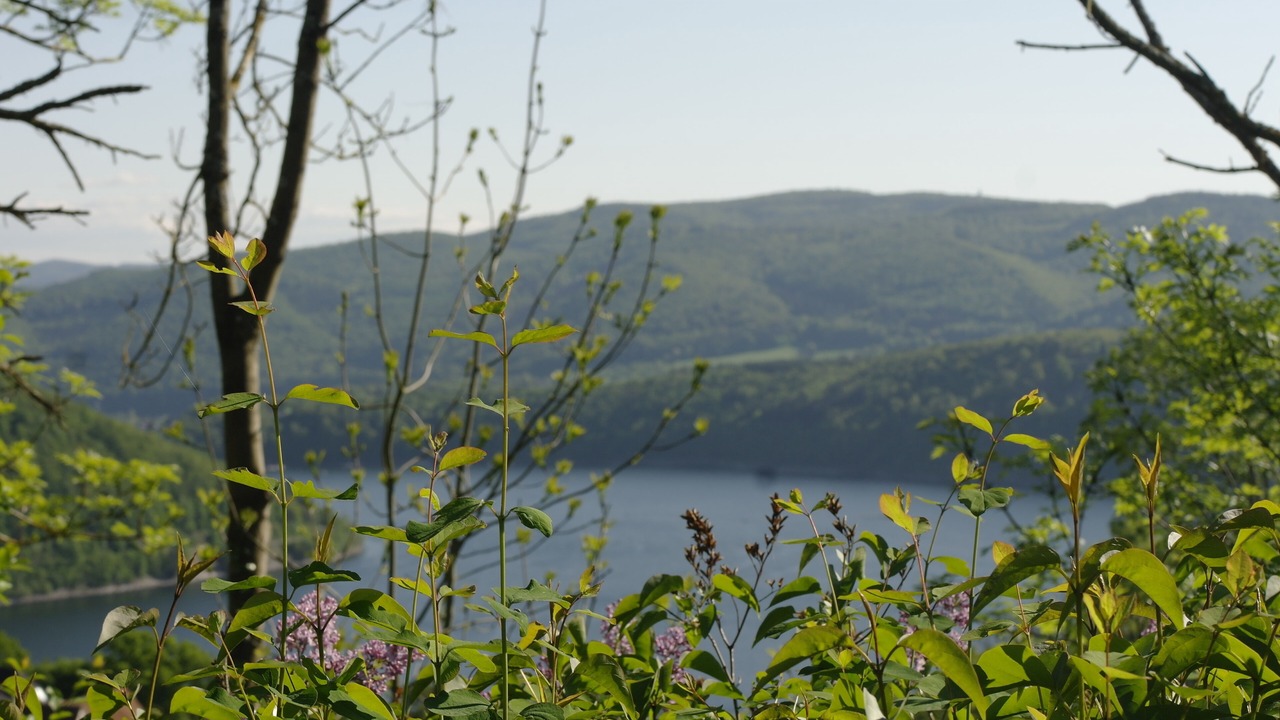 Photo of Outdoor in Waldeck