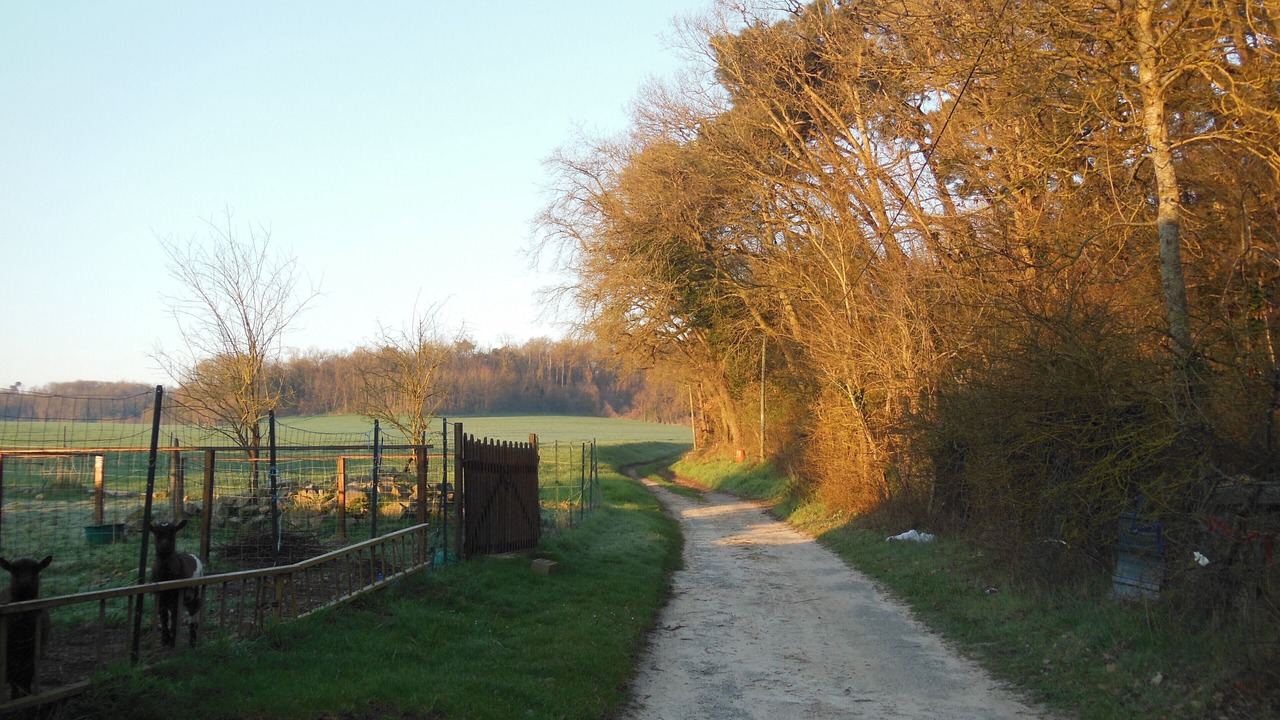 Photo of Outdoor in Noisy-sur-Ecole