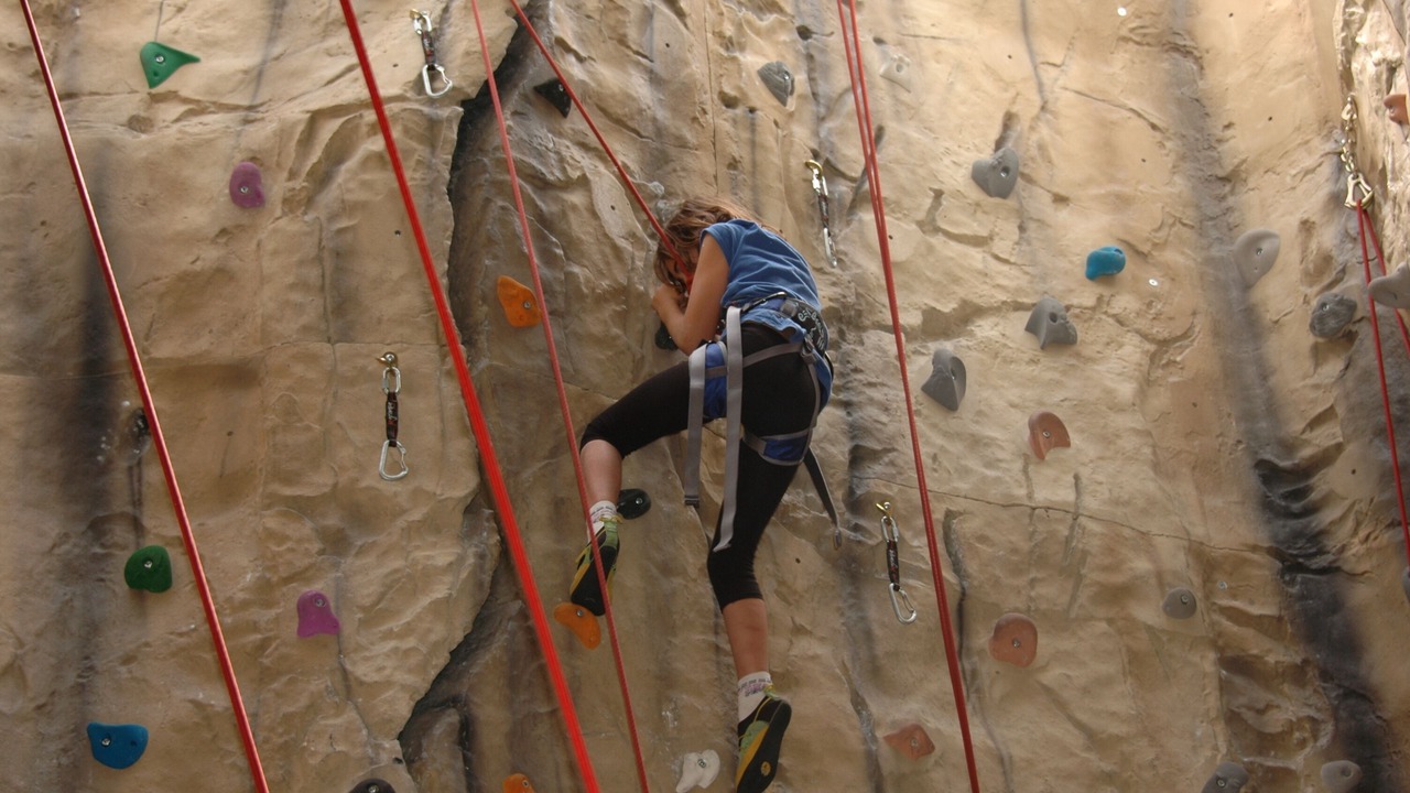 Photo of Others in Noisy-sur-Ecole