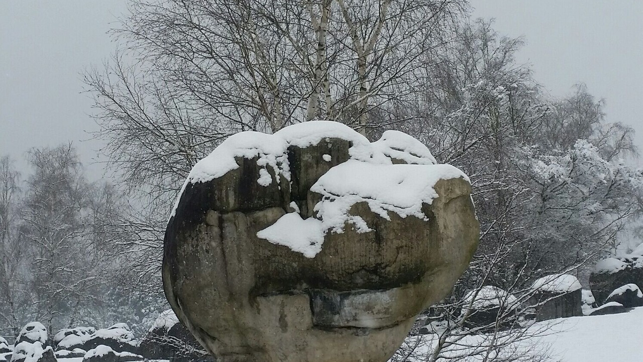 Photo of Outdoor in Noisy-sur-Ecole