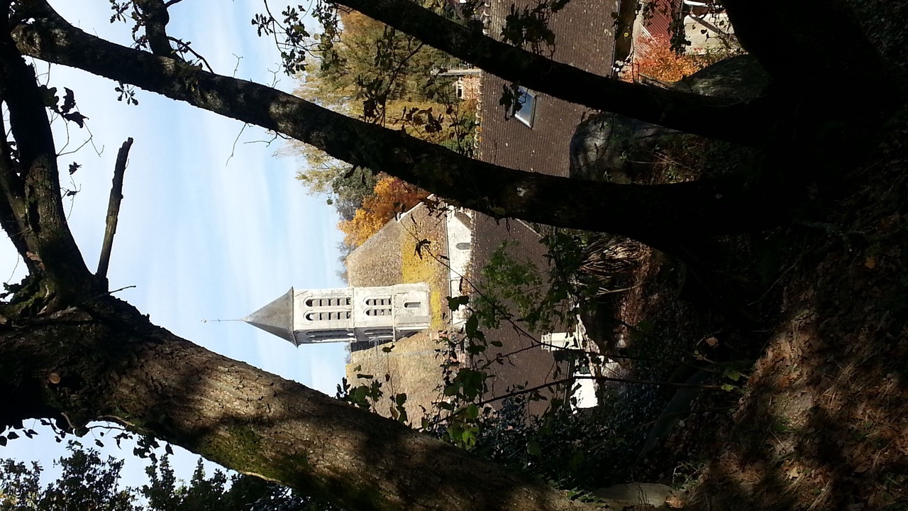 Photo of Others in Noisy-sur-Ecole