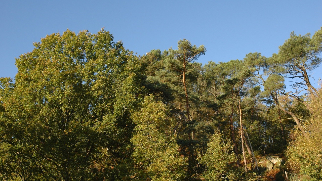 Photo of Outdoor in Noisy-sur-Ecole