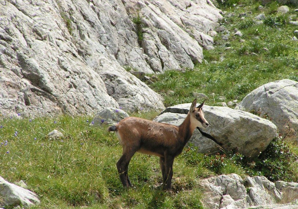 Photo of Outdoor in Theus