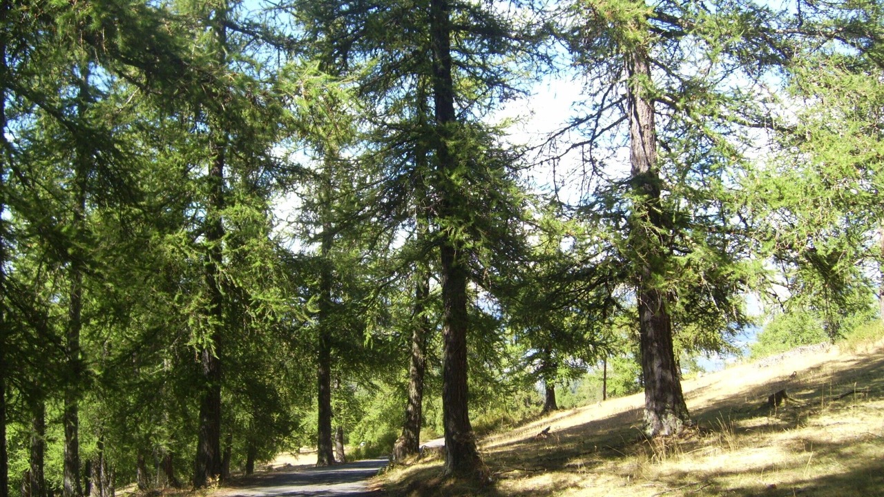 Photo of Outdoor in Theus