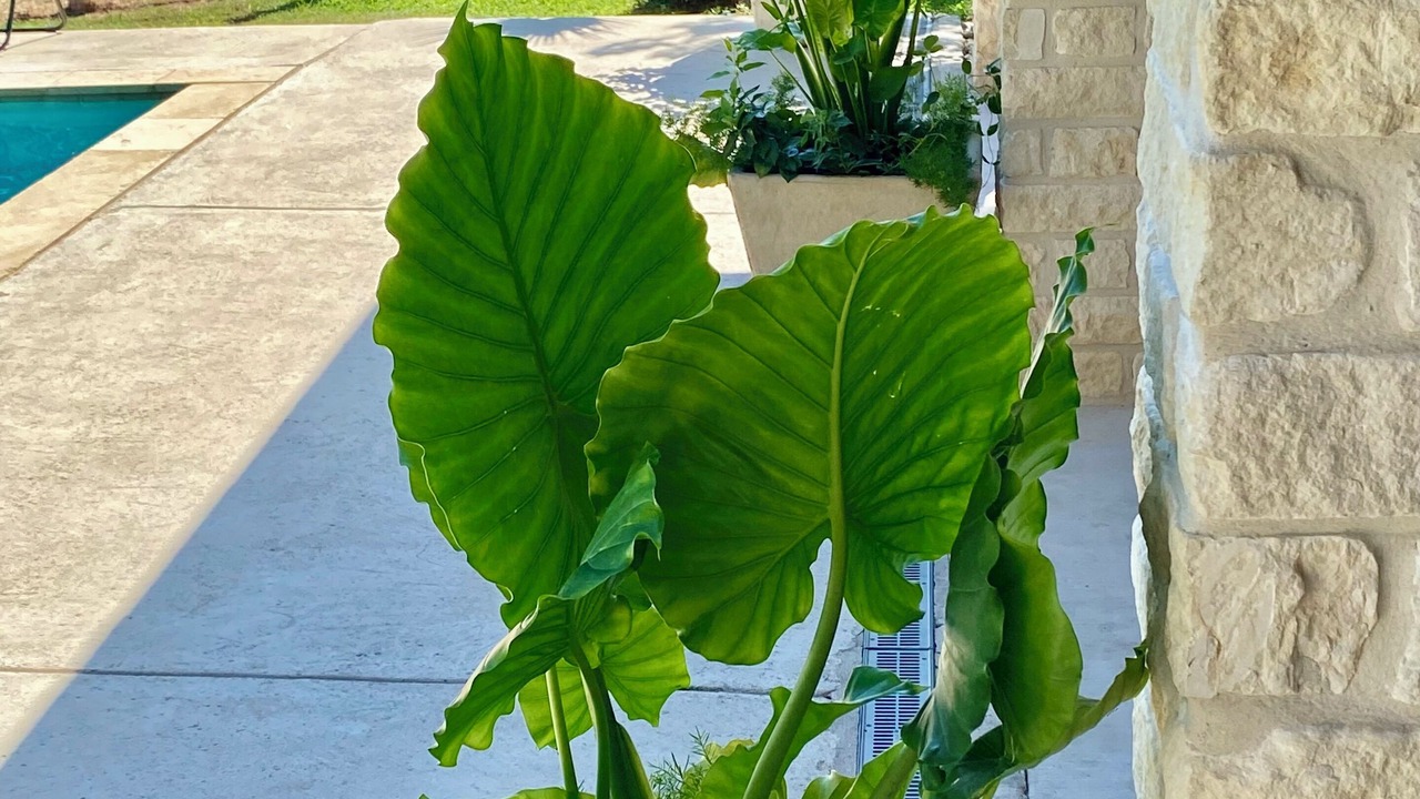 Photo of Outdoor in Concan