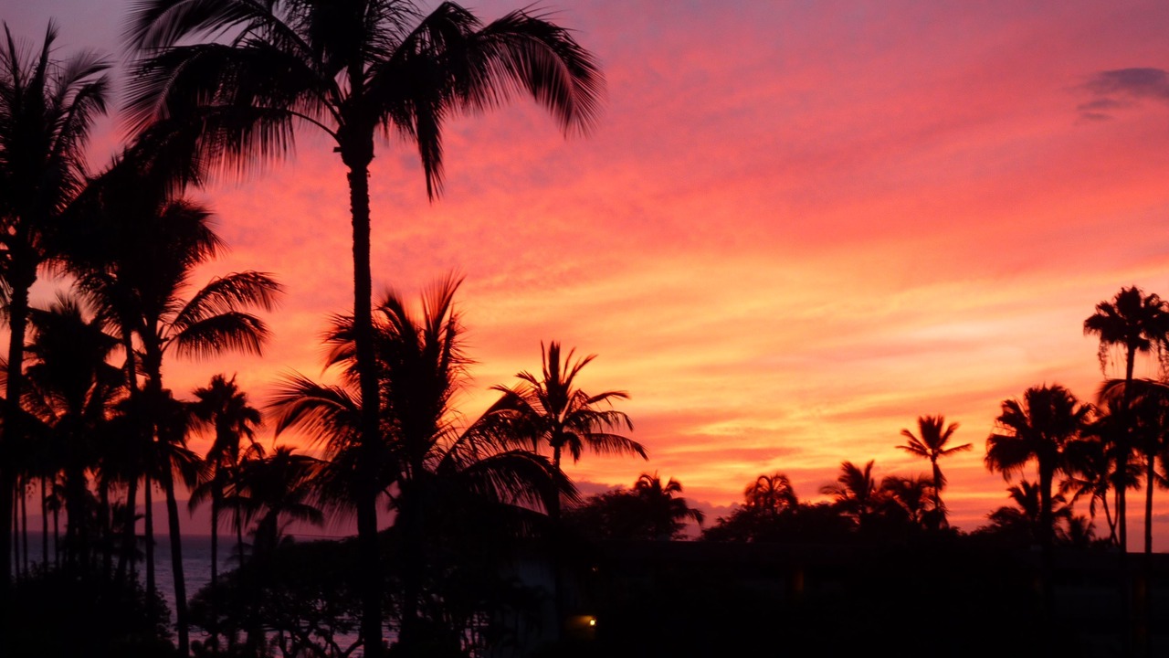 Photo of Others in Kihei