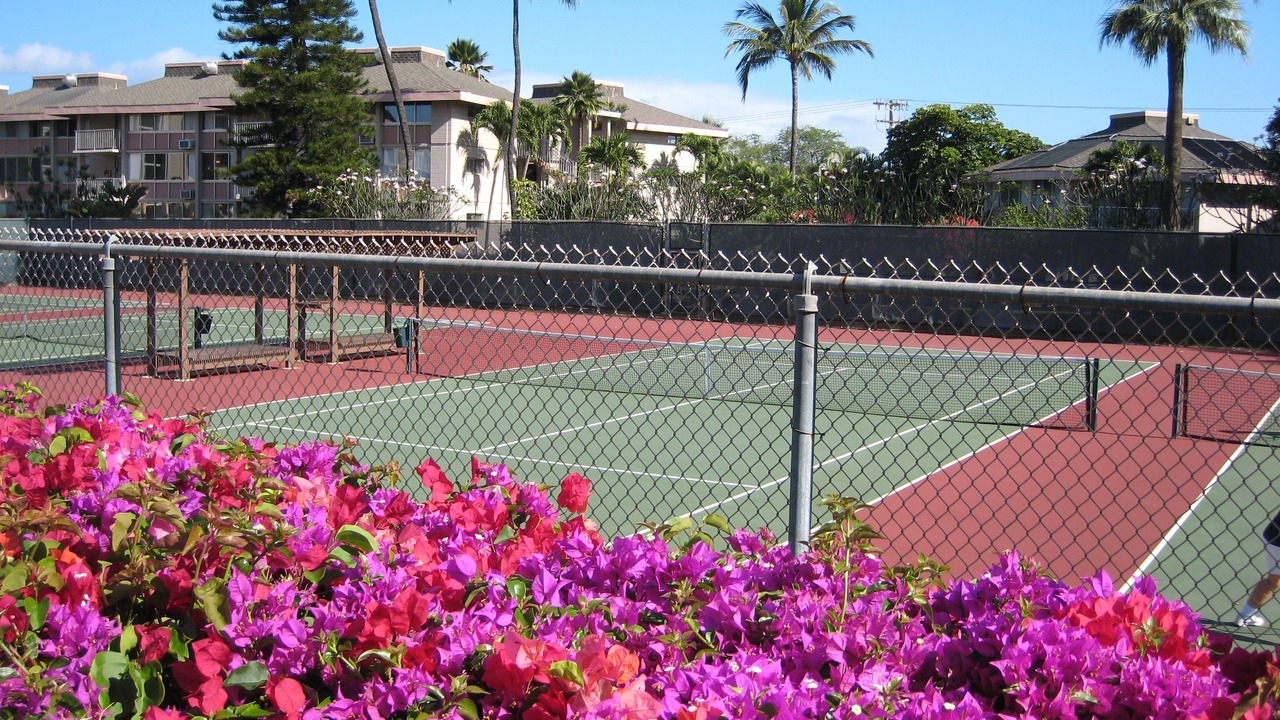 Photo of Others in Kihei