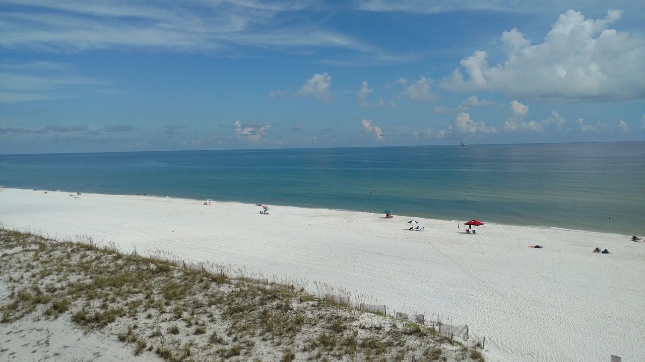Photo of Others in Pensacola Beach
