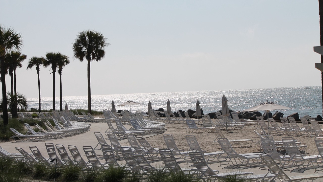 Photo of Others in Seabrook Island