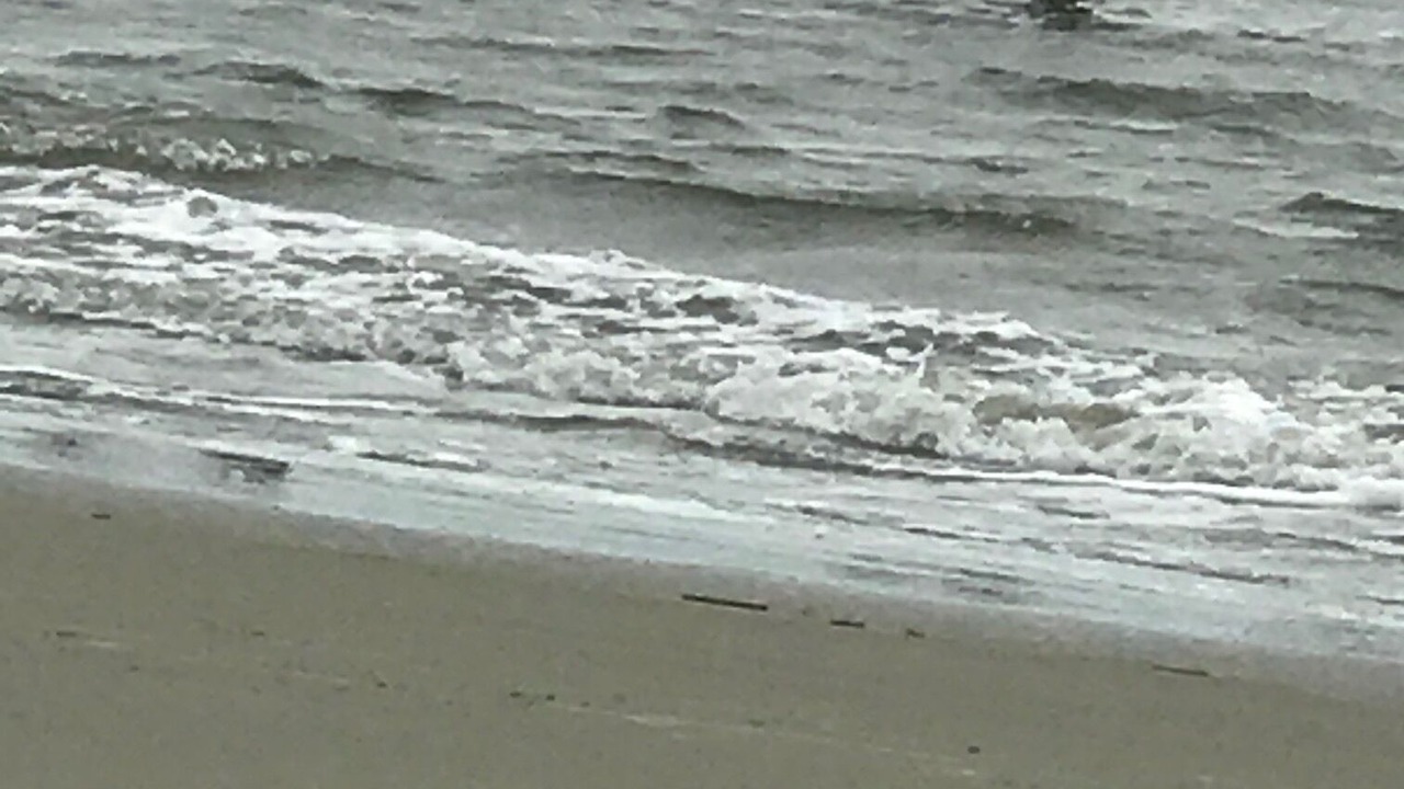 Photo of Others in Seabrook Island
