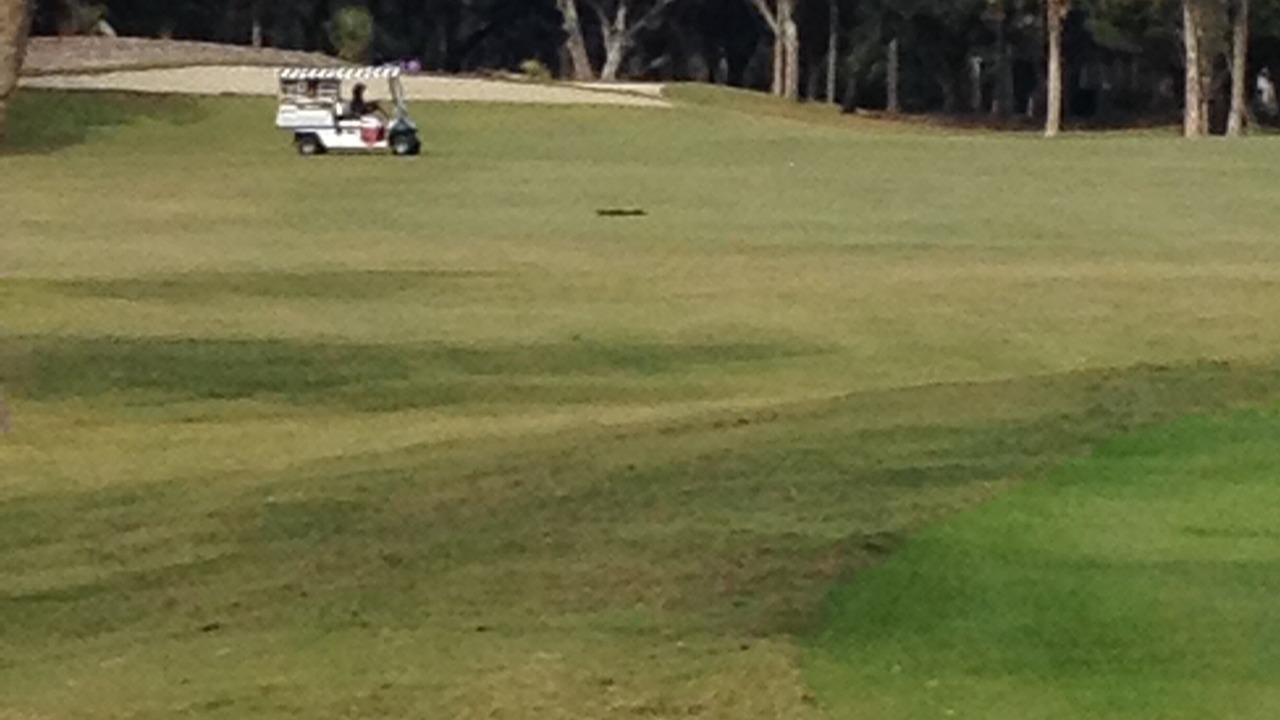 Photo of Others in Seabrook Island