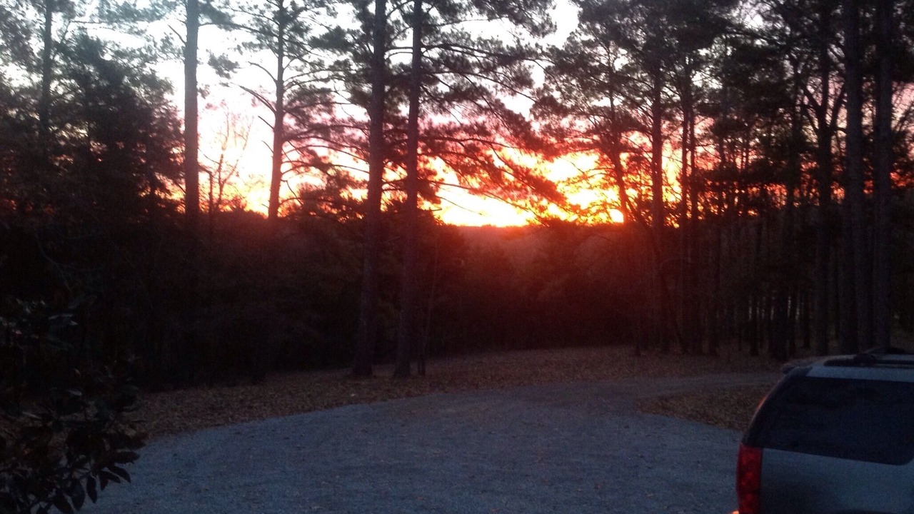Photo of Outdoor in Starkville