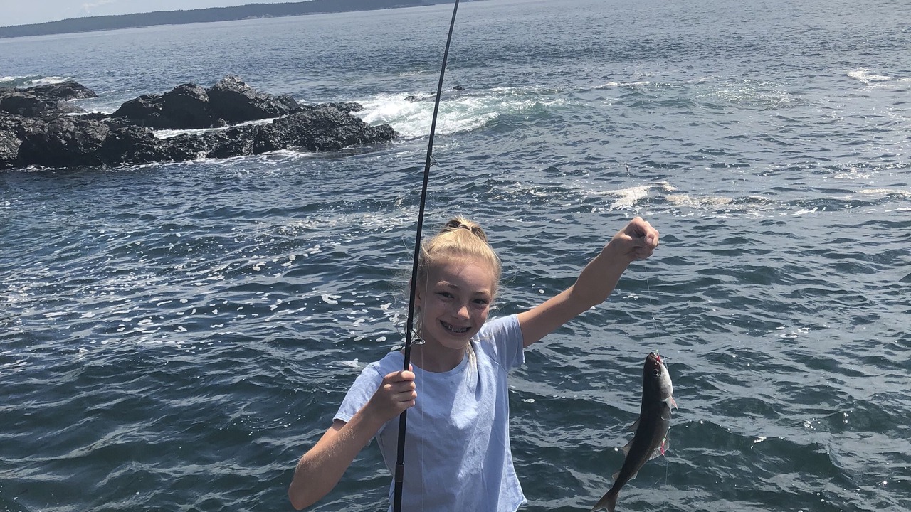 Photo of Others in Bar Harbor