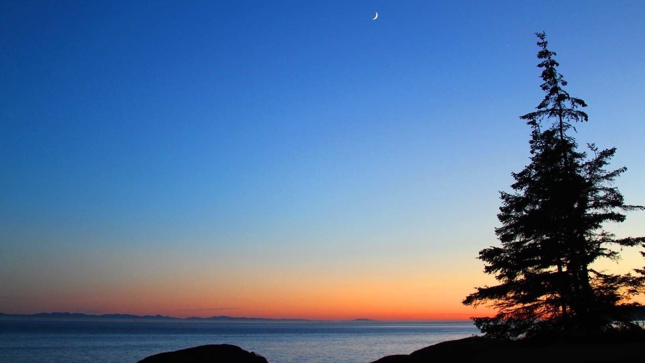 Photo of Others in Otter Point