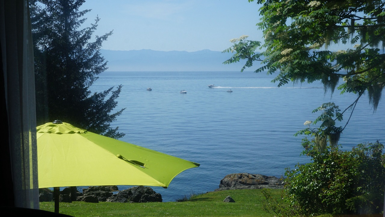 Photo of Others in Otter Point