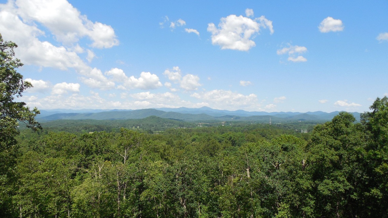 Photo of Others in Hendersonville