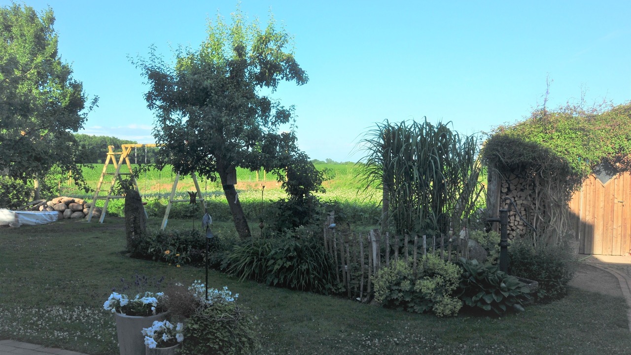 Photo of Outdoor in Loose