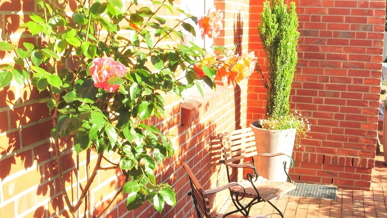 Photo of Patio Balcony in Loose